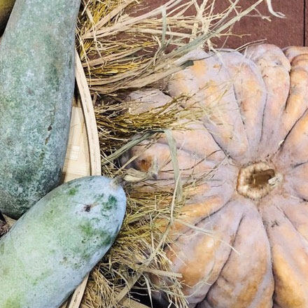 長沙標識設計公司