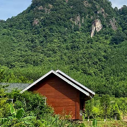 標(biāo)識(shí)系統(tǒng)設(shè)計(jì)作品案例展示