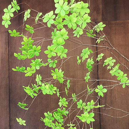 中國能效標識怎么看設計：能源效率的認證標志